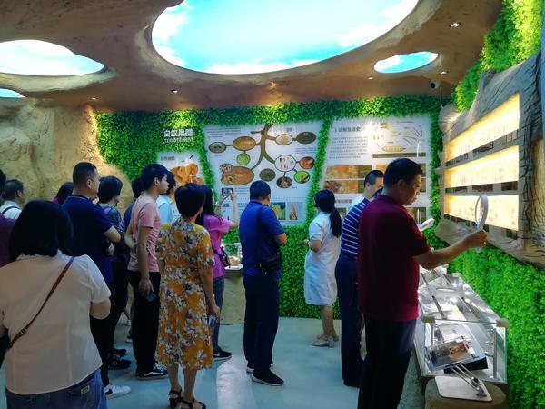 最新科技在白蟻滅治中的應用